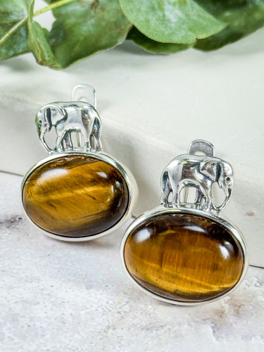 Серебряные серьги ETERI с тигровым глазом