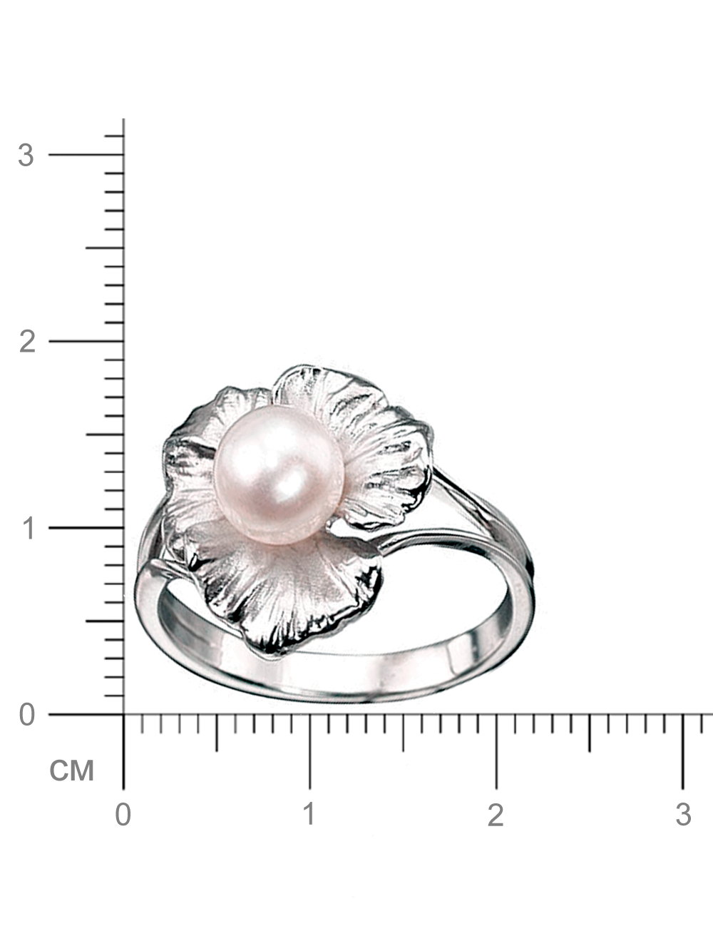 00-00006631