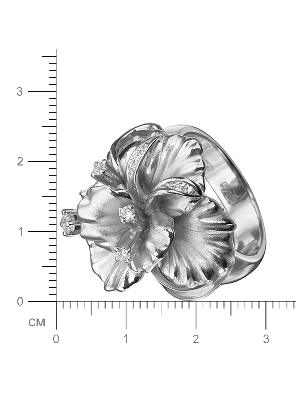 00-00004667(2)
