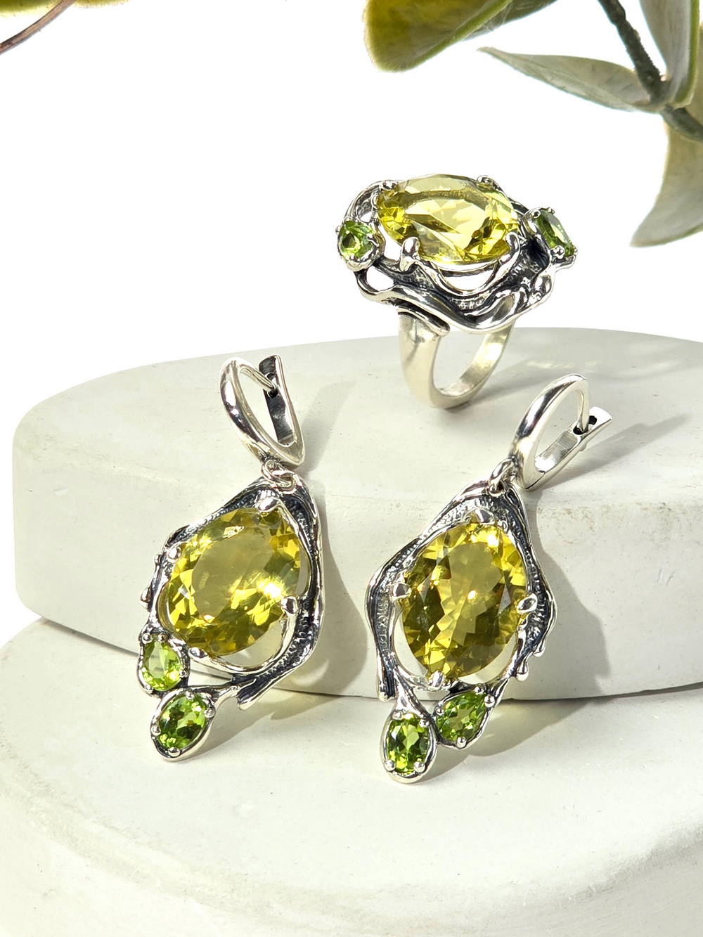 3173-нат А+-434_2