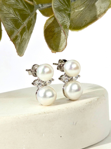 PI-E00012-X-B-PN-X-W_1