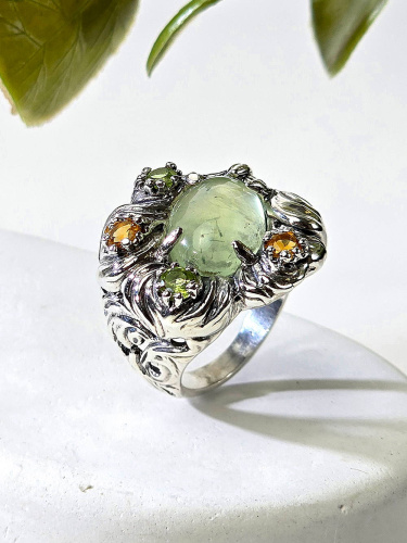 717-нат А+-195_1