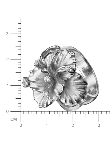 00-00004667(2)