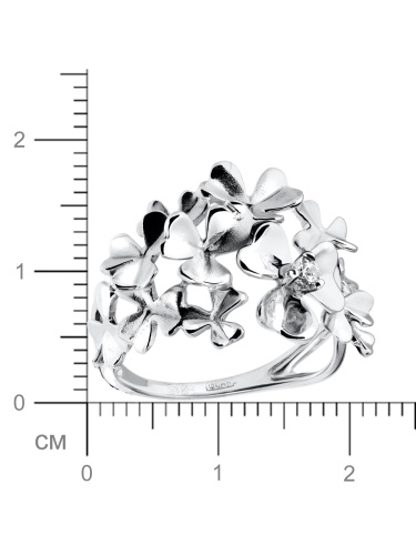 00-00005491