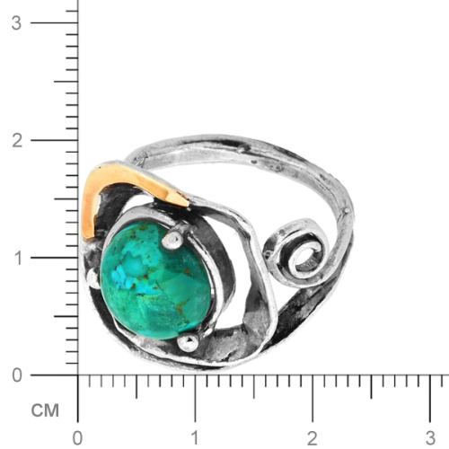 00-00002855(1)